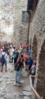 IMG_20230801_121843