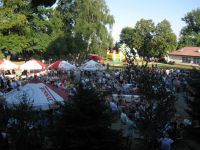 IMG_6231